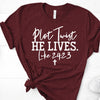 Christian Tee, Plot Twist HE LIVES Luke 24:23,  Premium Soft Unisex Tee, Plus Size 2x, 3x, 4x,  Religious Design