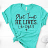 Christian Tee, Plot Twist HE LIVES Luke 24:23,  Premium Soft Unisex Tee, Plus Size 2x, 3x, 4x,  Religious Design