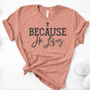 Because He Lives, Bella Canvas Tee, Choice Of Colors , Soft Tee Shirt, Religious Design