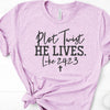 Christian Tee, Plot Twist HE LIVES Luke 24:23,  Premium Soft Unisex Tee, Plus Size 2x, 3x, 4x,  Religious Design