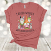 Easter Shirt, Easter Wishes And Bunny Wishes, Easter Gnomes, Easter Bunny, Premium Soft Unisex, Plus Size 2x, 3x, 4x Available