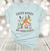 Easter Shirt, Easter Wishes And Bunny Wishes, Easter Gnomes, Easter Bunny, Premium Soft Unisex, Plus Size 2x, 3x, 4x Available