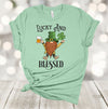 Saint Patrick's Day, Lucky And Blessed, Green Gnomes, Four Leaf Clover, Premium Unisex Tee,  2x, 3x, 4x Plus Sizes Available